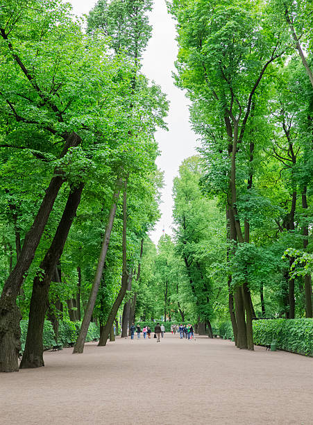 Broad alley in the Park in St. Petersburg stock photo