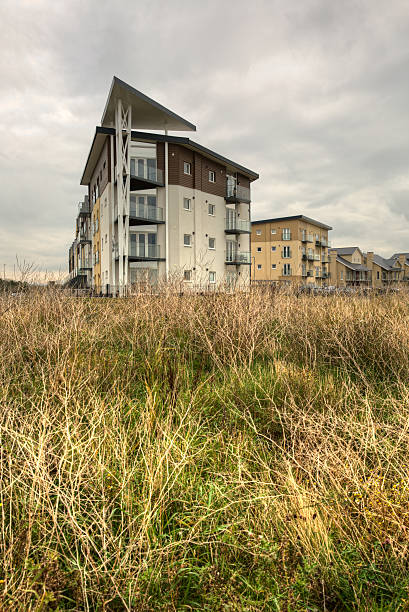 istock Waste ground in front of luxury homes 493116114