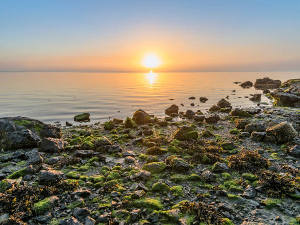 rocky plaży o zachodzie słońca, puget sound alki beach, seattle, stany zjednoczone ameryki - alki beach zdjęcia i obrazy z banku zdjęć