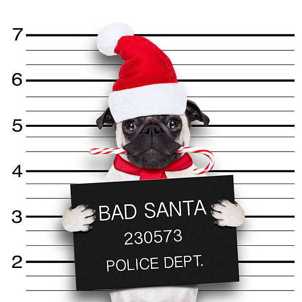 istock mugshot santa dog 493117548