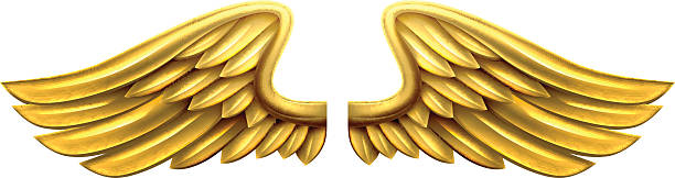 Metal Gold Wings A pair of gold golden shiny metal wings design gold metal clipart stock illustrations