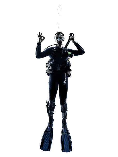 istock man scuba diver diving silhouette isolated 493149448