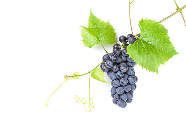 istock Bunch of red grapes 493151916