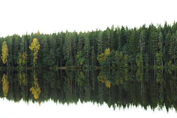 istock Lake and forest in autumn. 493152016