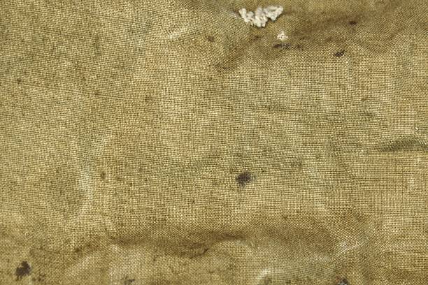 istock Weathered Faded Military Army Camouflage Background 493153058