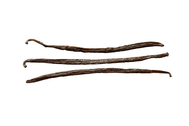 istock Three vanilla pods aligned isolated on white background 493154858