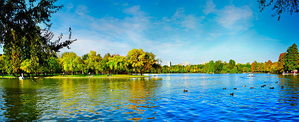 istock panorama park in an autumn day 493156120