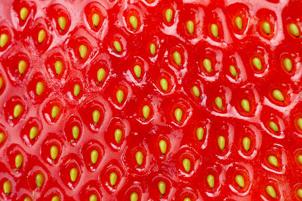 strawberry detail