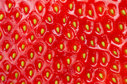 macro fresh strawberry
