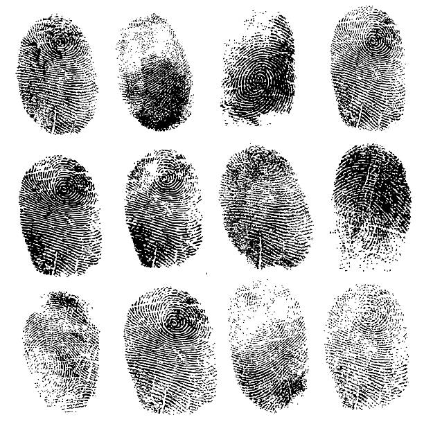 zestaw ilustracja odcisków palców, - fingerprint backgrounds identity human finger stock illustrations