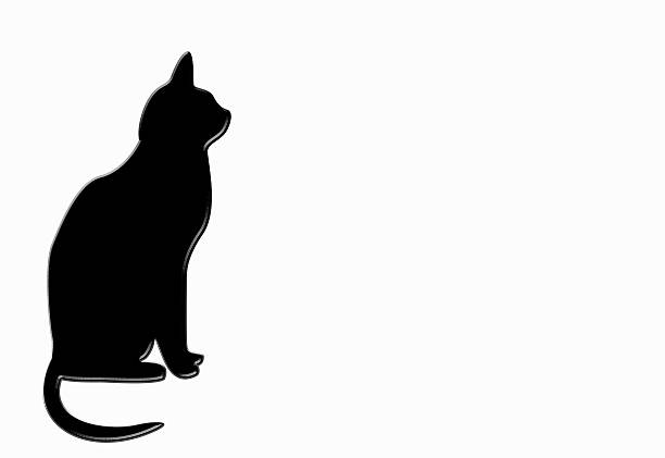 cat silhouette isolated on a white background