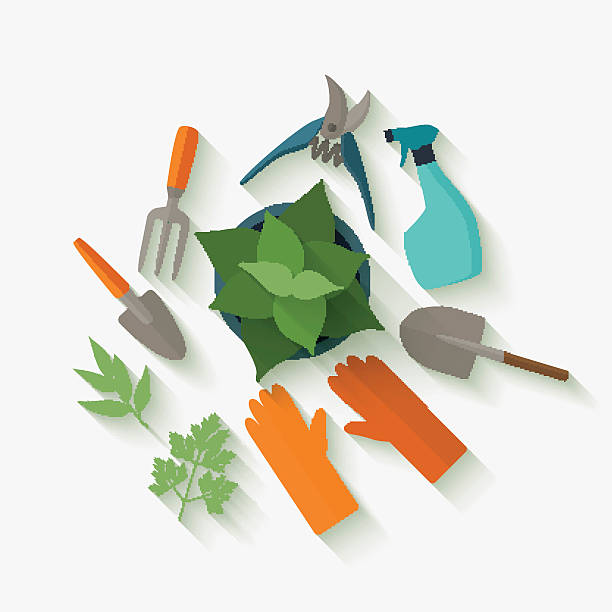 illustrations, cliparts, dessins animés et icônes de outils de design plat pour le jardinage et des plantes d'entretien. - insecticide organic sign vegetable garden