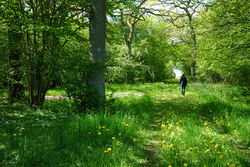 Recreational walk at a green footpath at spring.