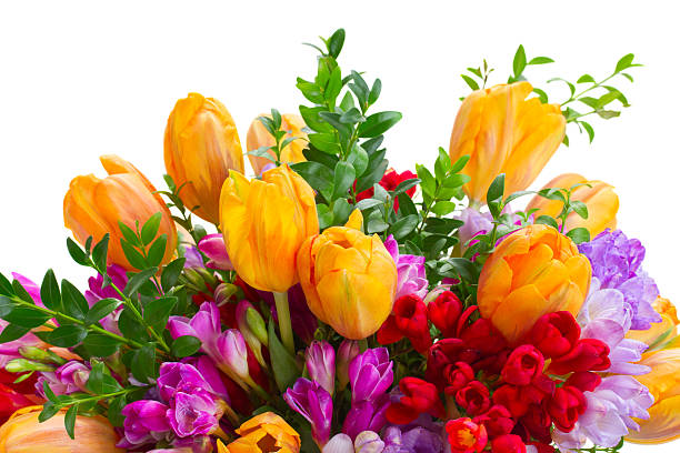 istock freesia and tulip flowers 493162942