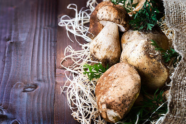 istock Fresh mushrooms porcini 493163432