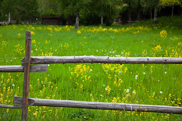 istock Green meadow and wooden fence. 493170601