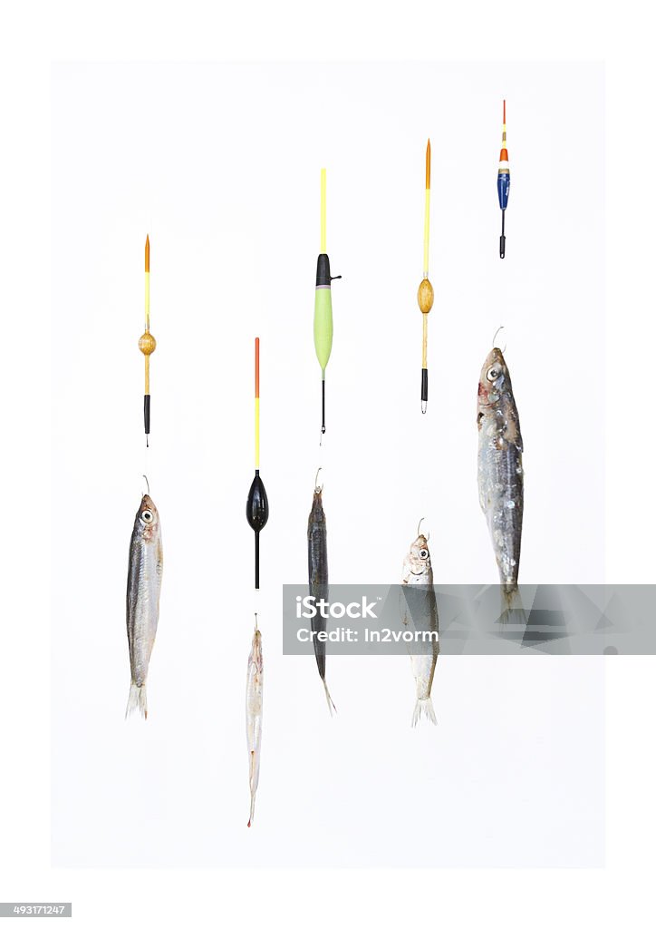 Fishing for sardines Sardines, fishing, sportfishing, pilchard, floatstick Anchovy Stock Photo