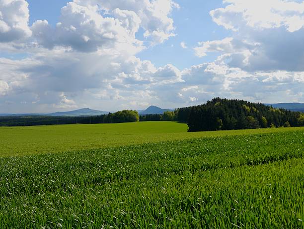 istock spring landscape germany Hegau green and yellow fields 493172365