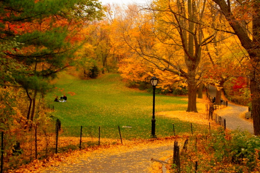 Autumn yellow foliage path in New York Central Park, USA.