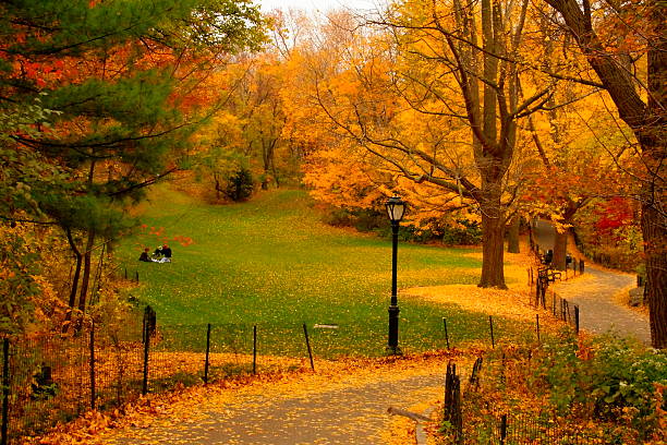 Autumn yellow foliage path in New York Central Park, USA stock photo