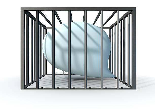 istock Censorship Of Speech Caged 493173147