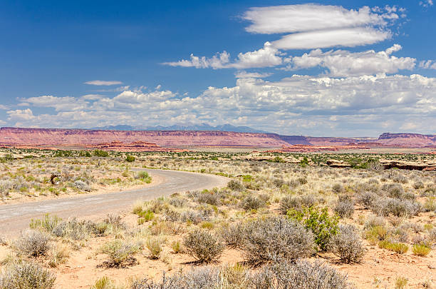 istock Gravel Road in a Desert Landscape 493173209