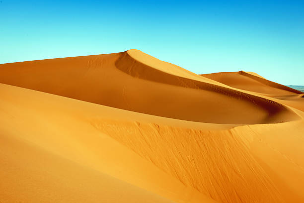 istock Erg Chebbi Sand Dunes, Morocco, Northern Africa 493174761