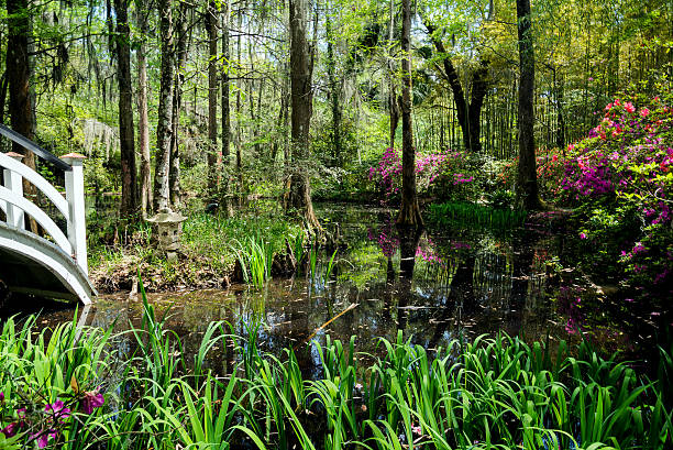 istock Japanese water garden 493174819