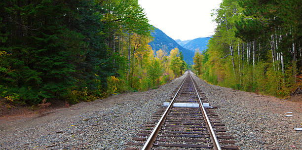 istock Railroad with mountaints on the skyline. Washington state 493177507