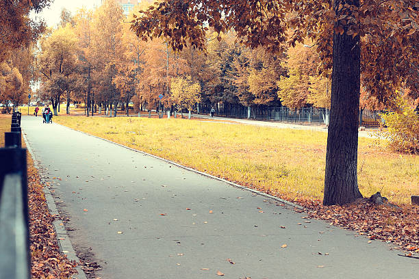 istock Park autumn alley footpath 493180776