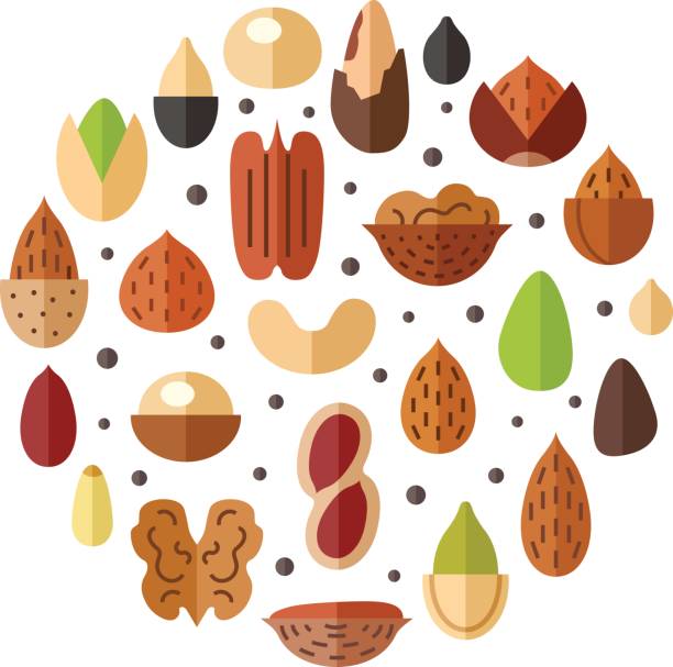 Nuts and seeds circle vector background.Flat design. Nuts and seeds circle vector background. Modern flat design. pecan icon stock illustrations