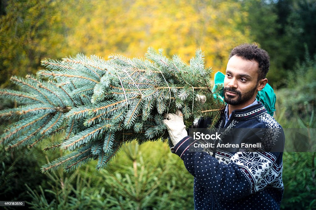 Christmas tree Exhaustion Stock Photo