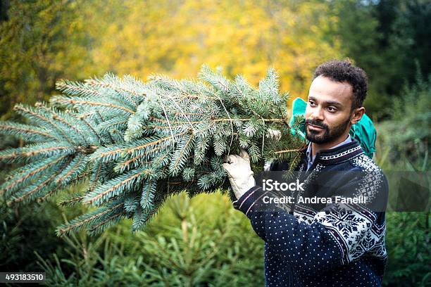 Christmas Tree Stock Photo - Download Image Now - Exhaustion, Gardening, 2015