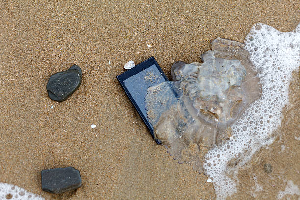 Lost Phone in the Sea