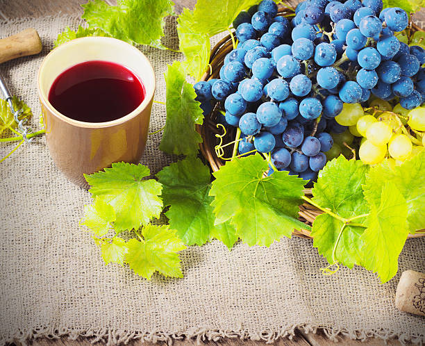 red wine and grapes. Wine and grapes in vintage setting with corks on wooden table toning