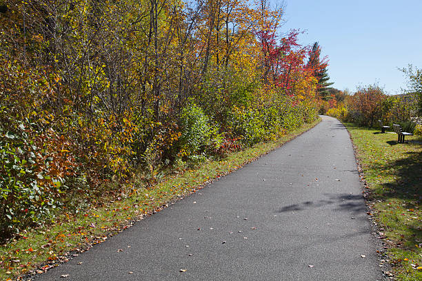 ashuwillticook rail trail - massachusetts the berkshires autumn mountain zdjęcia i obrazy z banku zdjęć