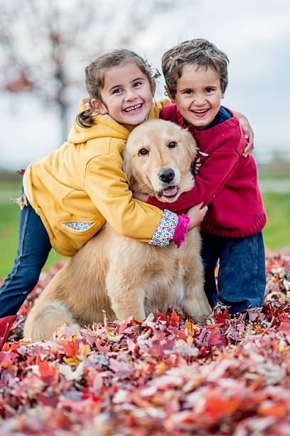 Sibling Poses Stock Photos, Pictures & Royalty-Free Images - iStock Sibling Poses Stock Photos, Pictures & Royalty-Free Images - iStock
