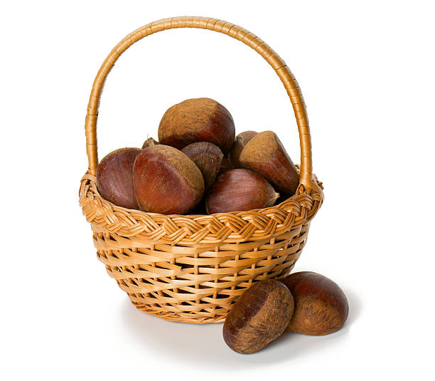 chestnuts изолированные на белом фоне - chestnut basket large group of objects isolated стоковые фото и изображения