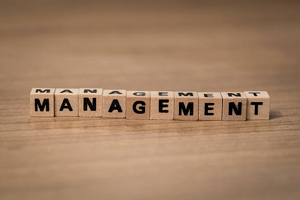 istock Management in wooden cubes 493193356