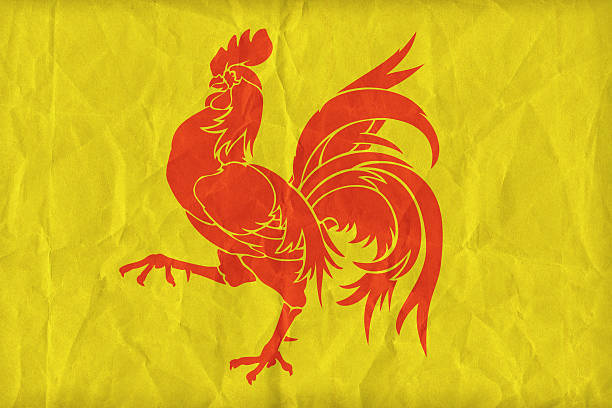 istock Wallonia flag pattern on paper texture,retro vintage style 493193842