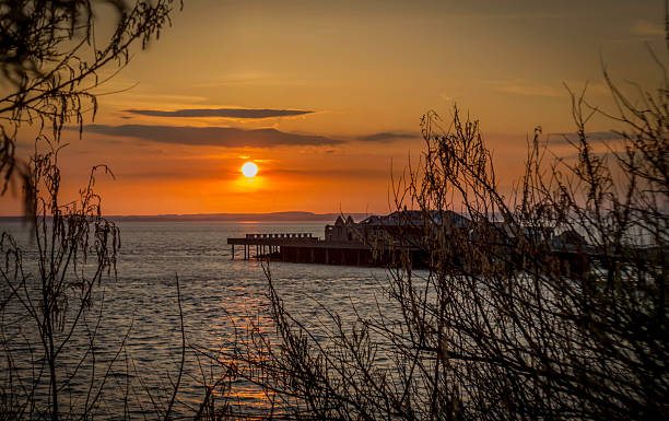 istock old pier at sunset, with leaves in foreground 493202687