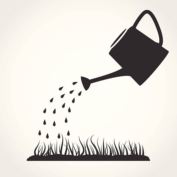Watering can and lawn Dark grey watering can sprays water drops above lawn. watering can stock illustrations
