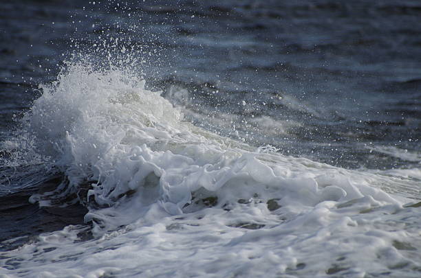 Sea Foam and Wave stock photo