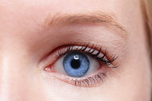 istock woman blue eye 493204693