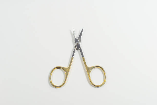 istock Surgeon tools: scalpel, forceps, clamps, scissors - isolated 493204957
