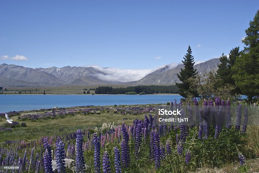 Long white cloud over bright blue Lake Tekapo, New Zealand Beauty In Nature Stock Photo