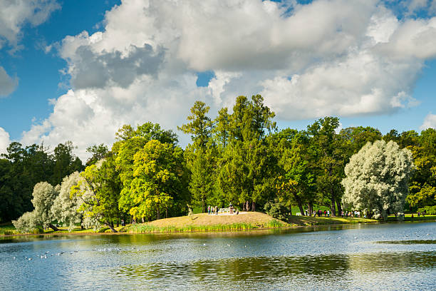 istock Beautiful russian landscape with willows 493211742