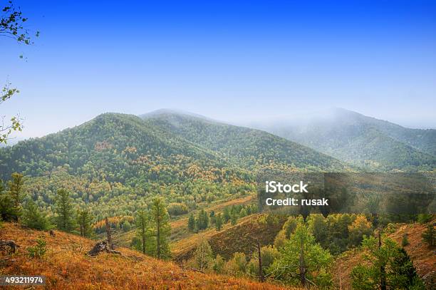 Mountain In Autumn Day Stock Photo - Download Image Now - 2015, Altai Nature Reserve, Animals In The Wild