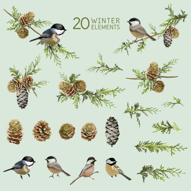 ретро элементы с птицами и зимой в стиле акварельных - tree winter bird branch stock illustrations