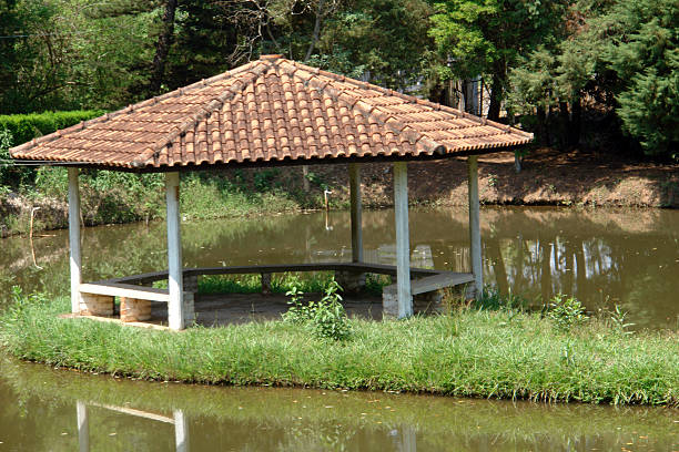 cabine - rural scene winter outdoors horizontal - fotografias e filmes do acervo